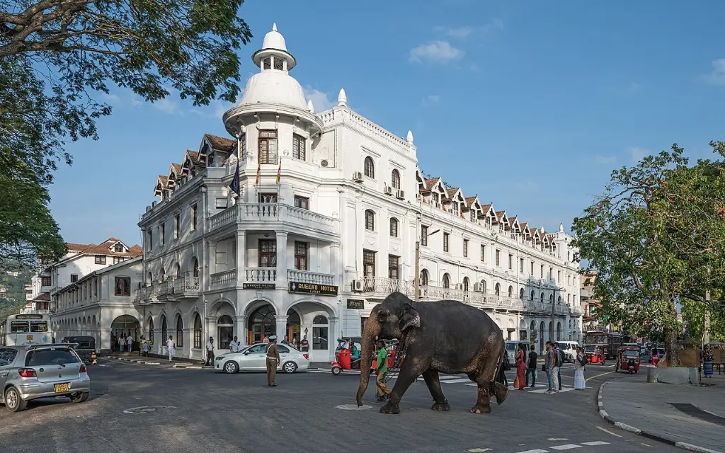 Jaffna