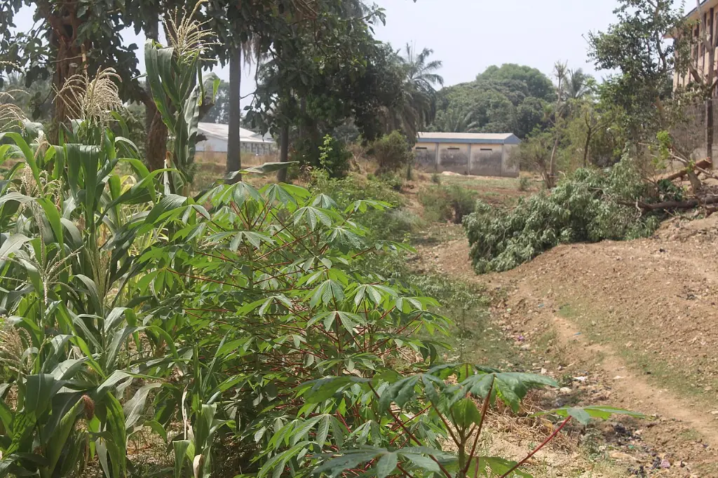 Enugu (İgbo bölgesi)