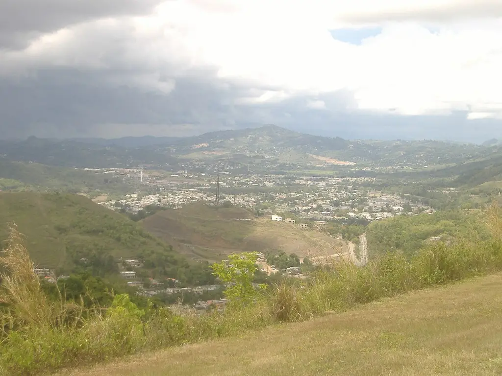 Guavate (Cayey)