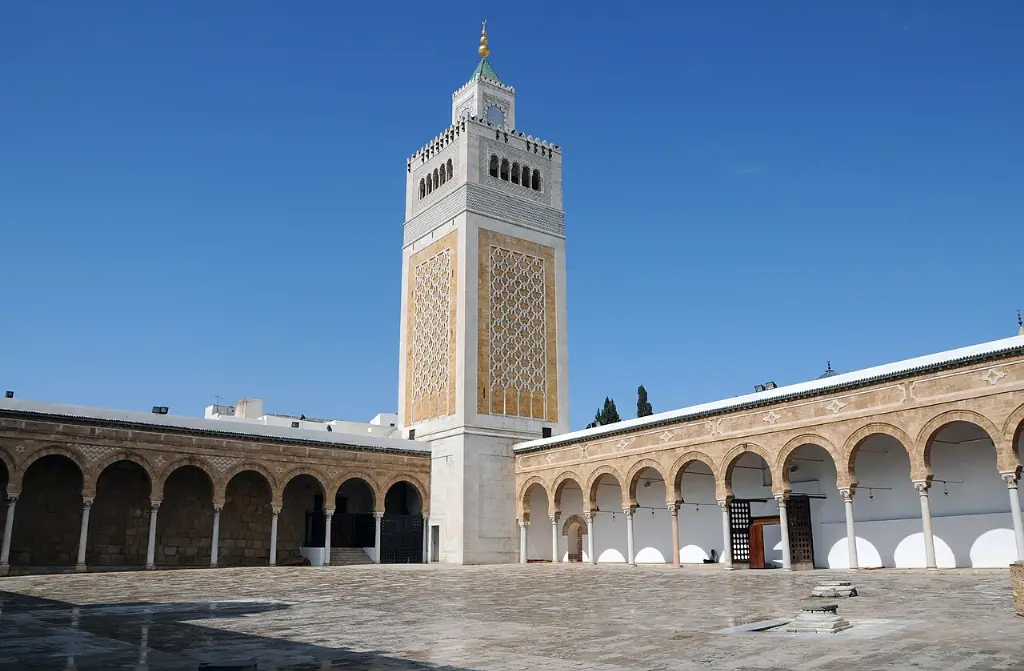 Tunus şehri ve Sidi Bou Said