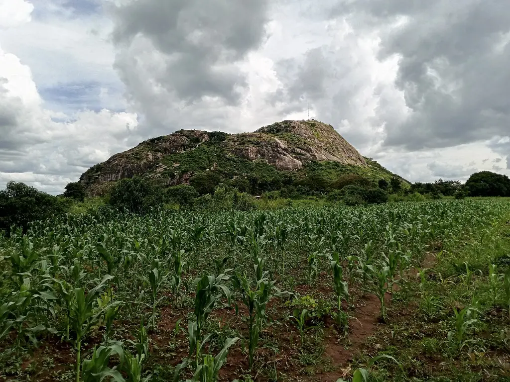 Kuzey Uganda (Acholi – Lango)