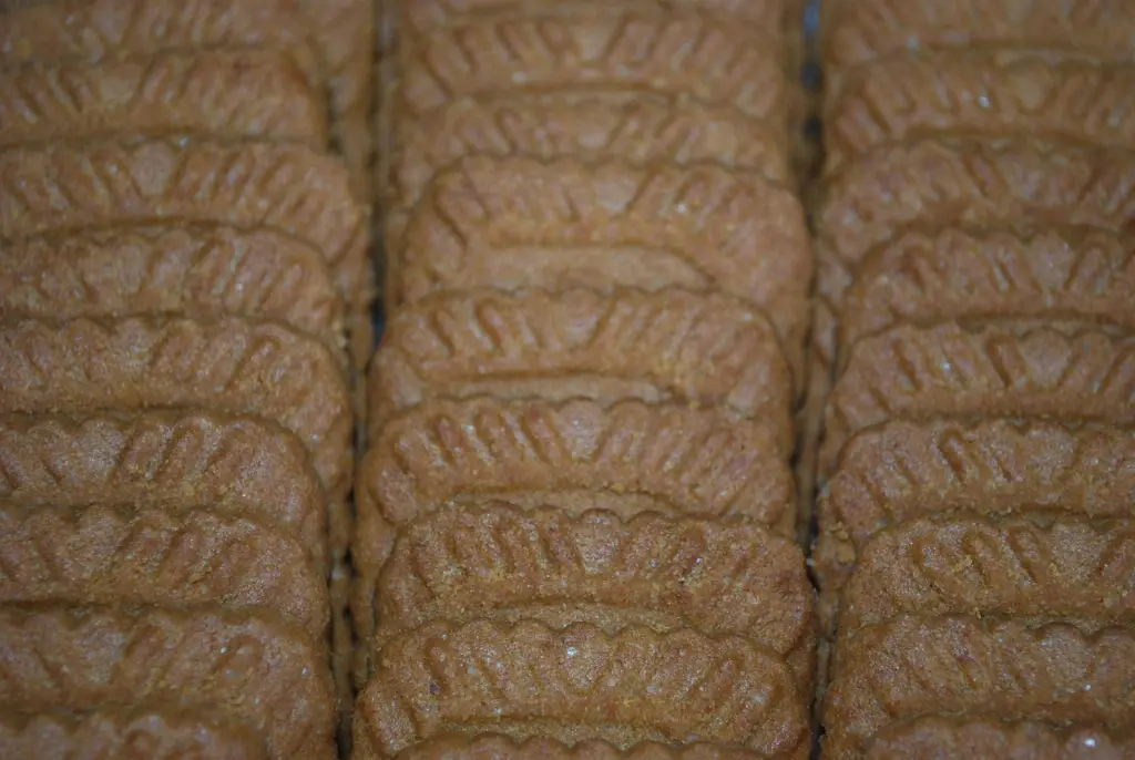 Speculoos