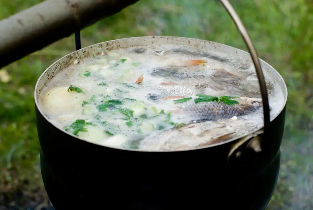 Boil fish