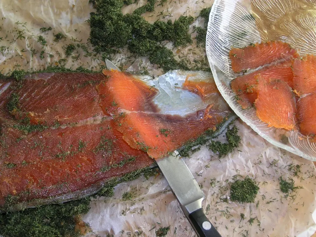 Graavilohi