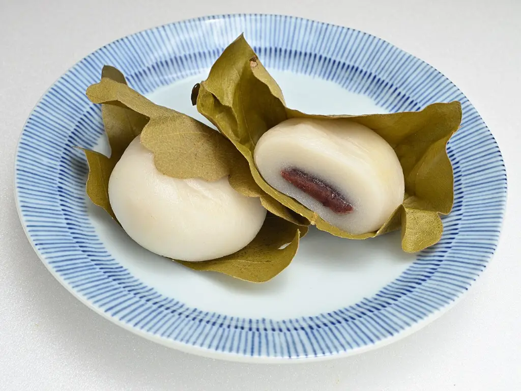 Kaşiva moçi
