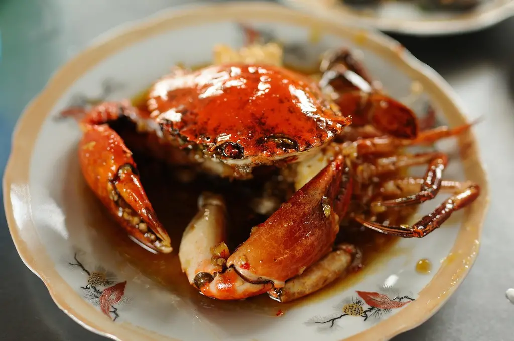 Dungeness crab