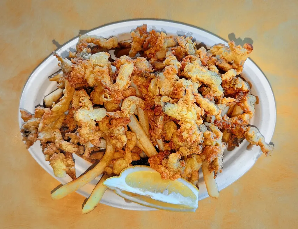 Fried clams