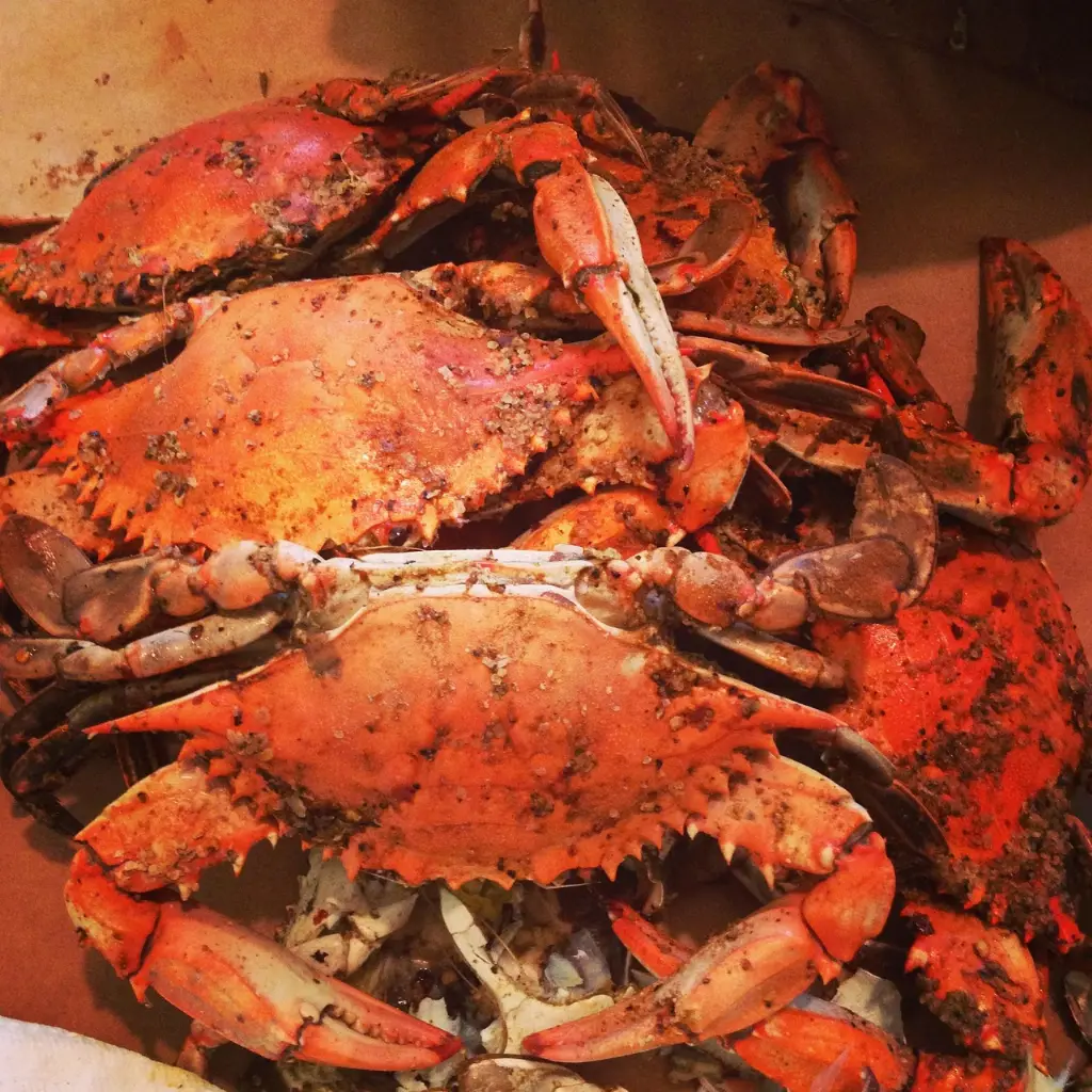Steamed blue crabs